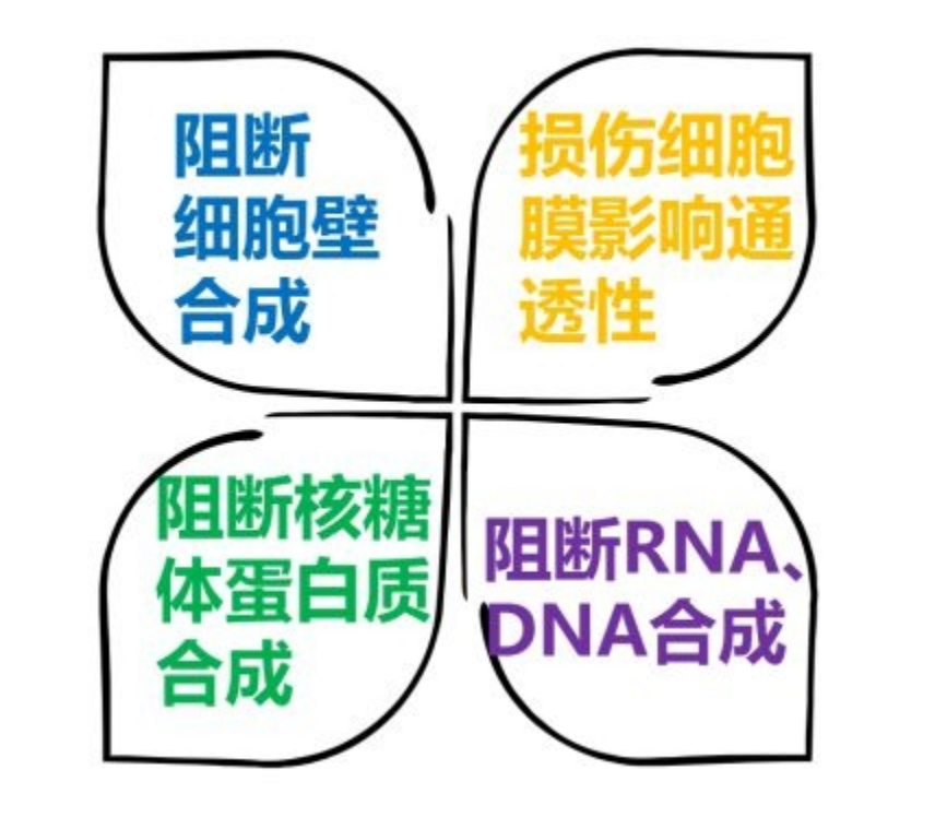抗生素的種類(lèi)和作用機(jī)理