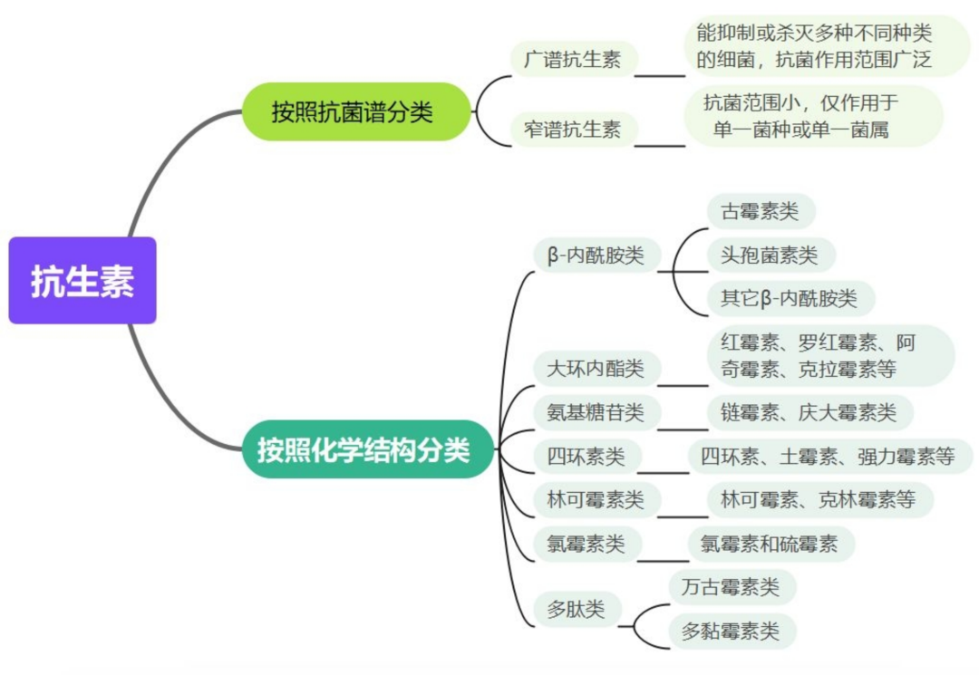 抗生素的種類(lèi)